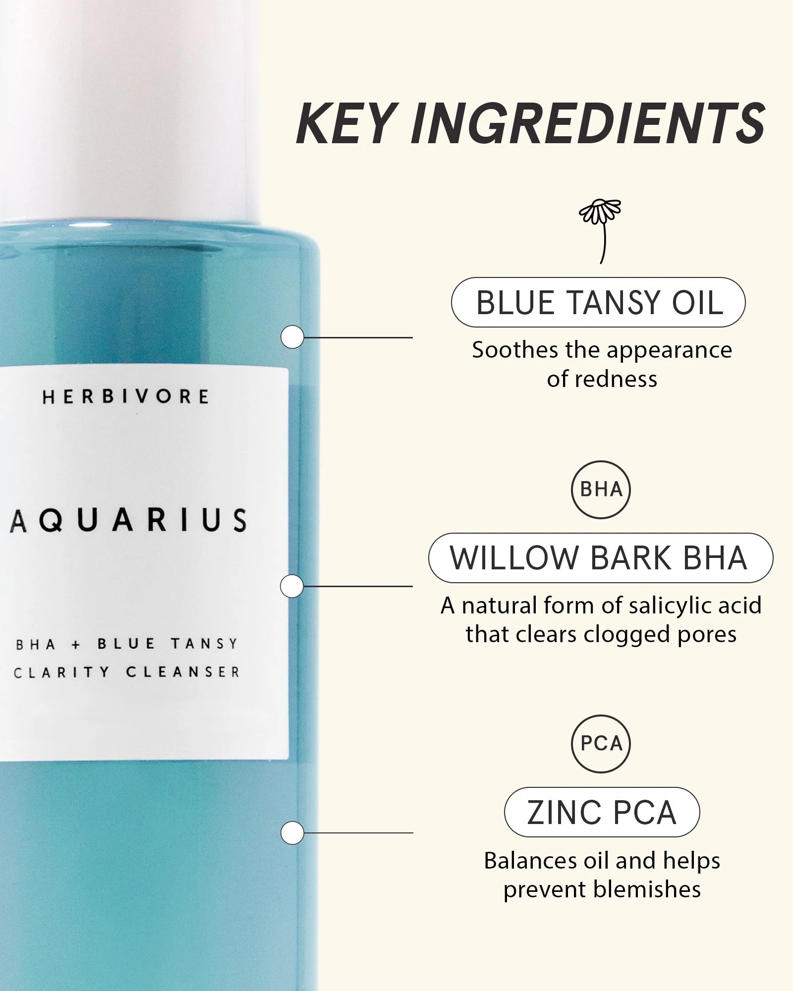 Aquarius BHA + Blue Tansy Clarity Cleanser