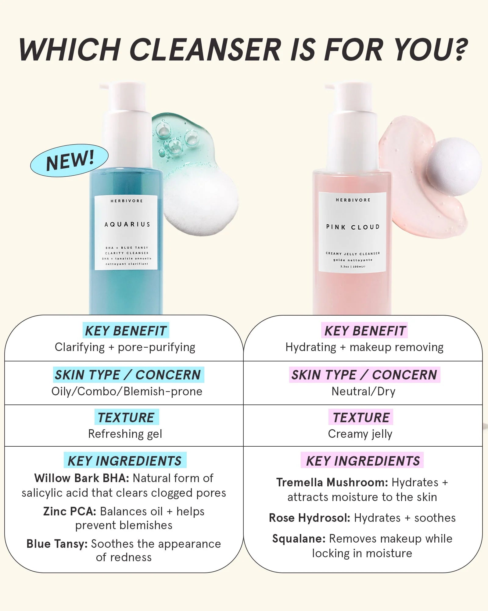 Aquarius BHA + Blue Tansy Clarity Cleanser