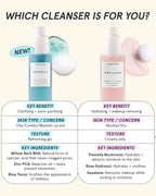 Aquarius BHA + Blue Tansy Clarity Cleanser