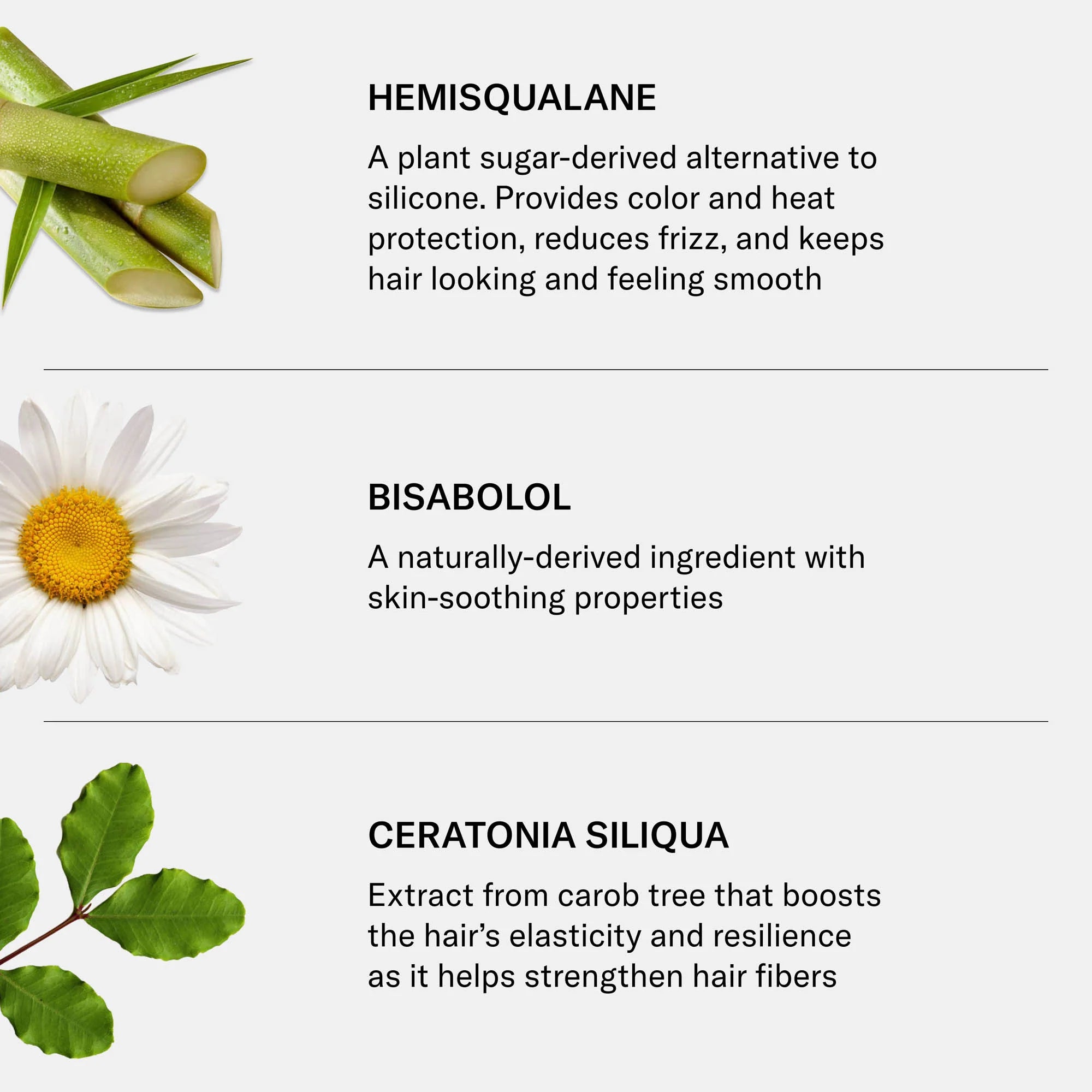 SEEN Blow-Out Creme, Fragrance Free