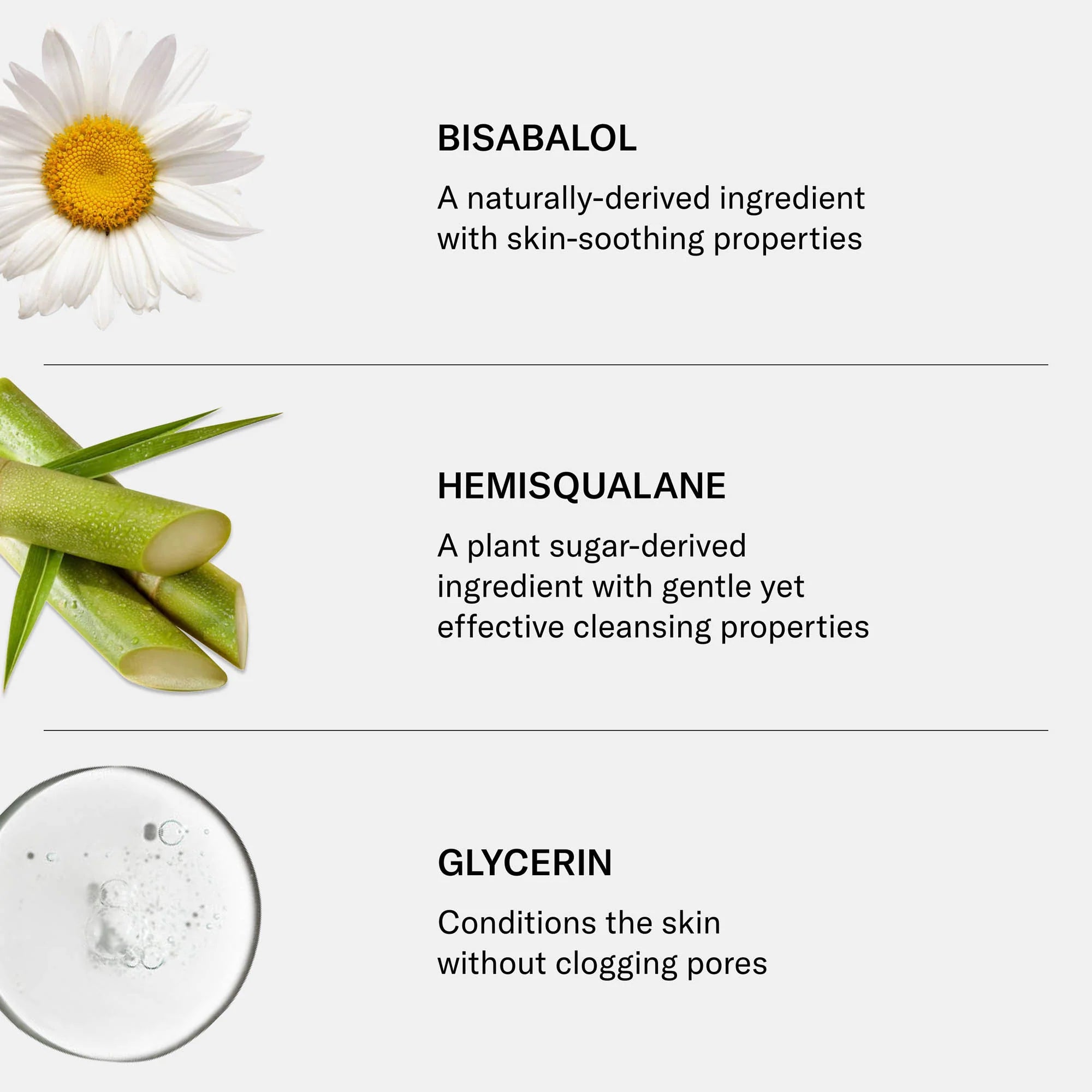 SEEN Body Wash, Fragrance Free