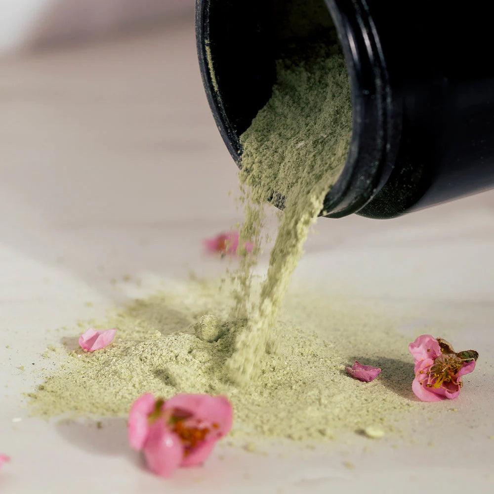 Green Ceremony Matcha Powder Cleanser