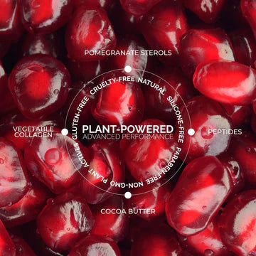 Lip Colour Cream Palette