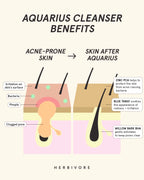 Aquarius BHA + Blue Tansy Clarity Cleanser
