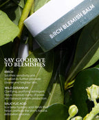 Birch Blemish Balm