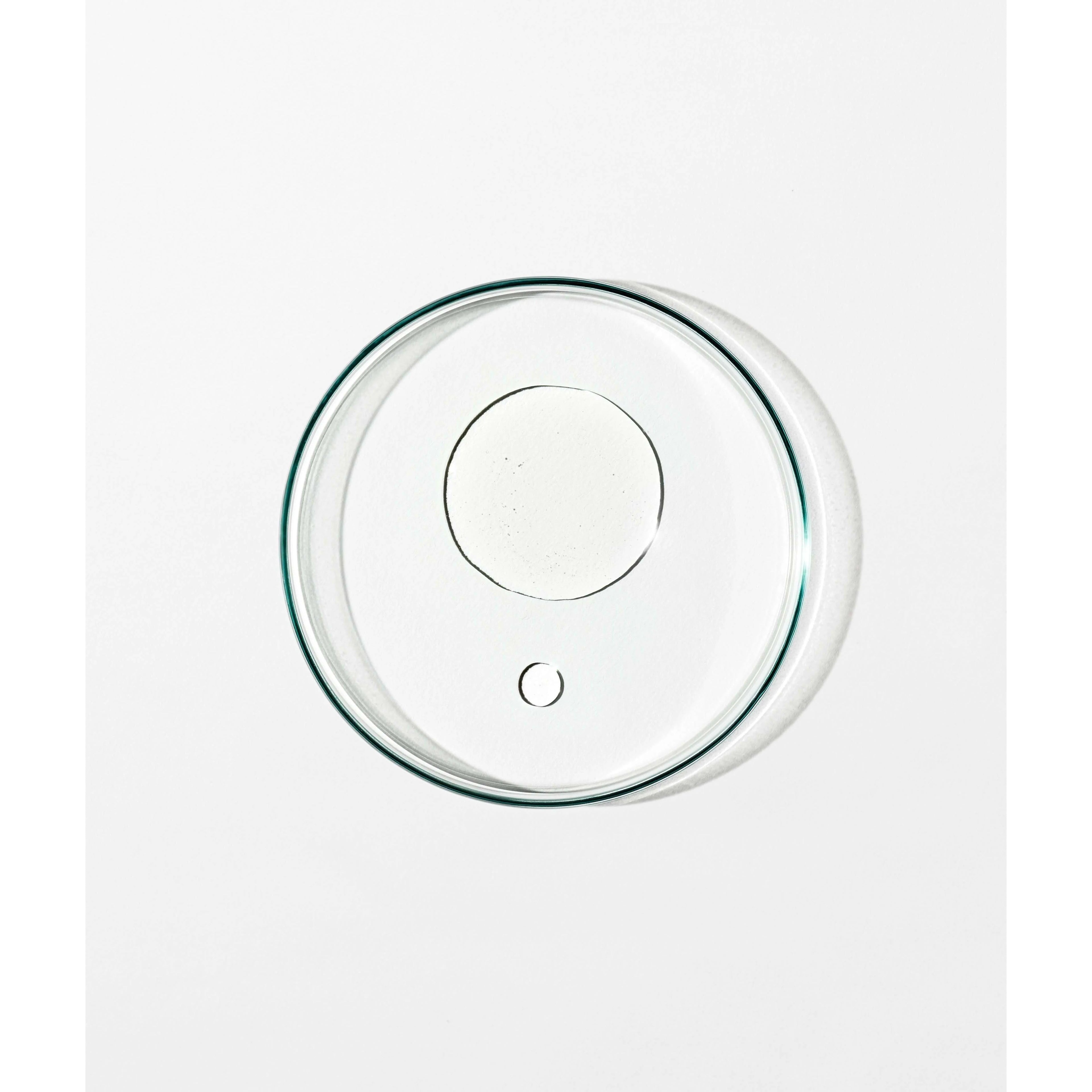 Body Treatment Oil: Ylang Ylang, Tamanu, Omega 7