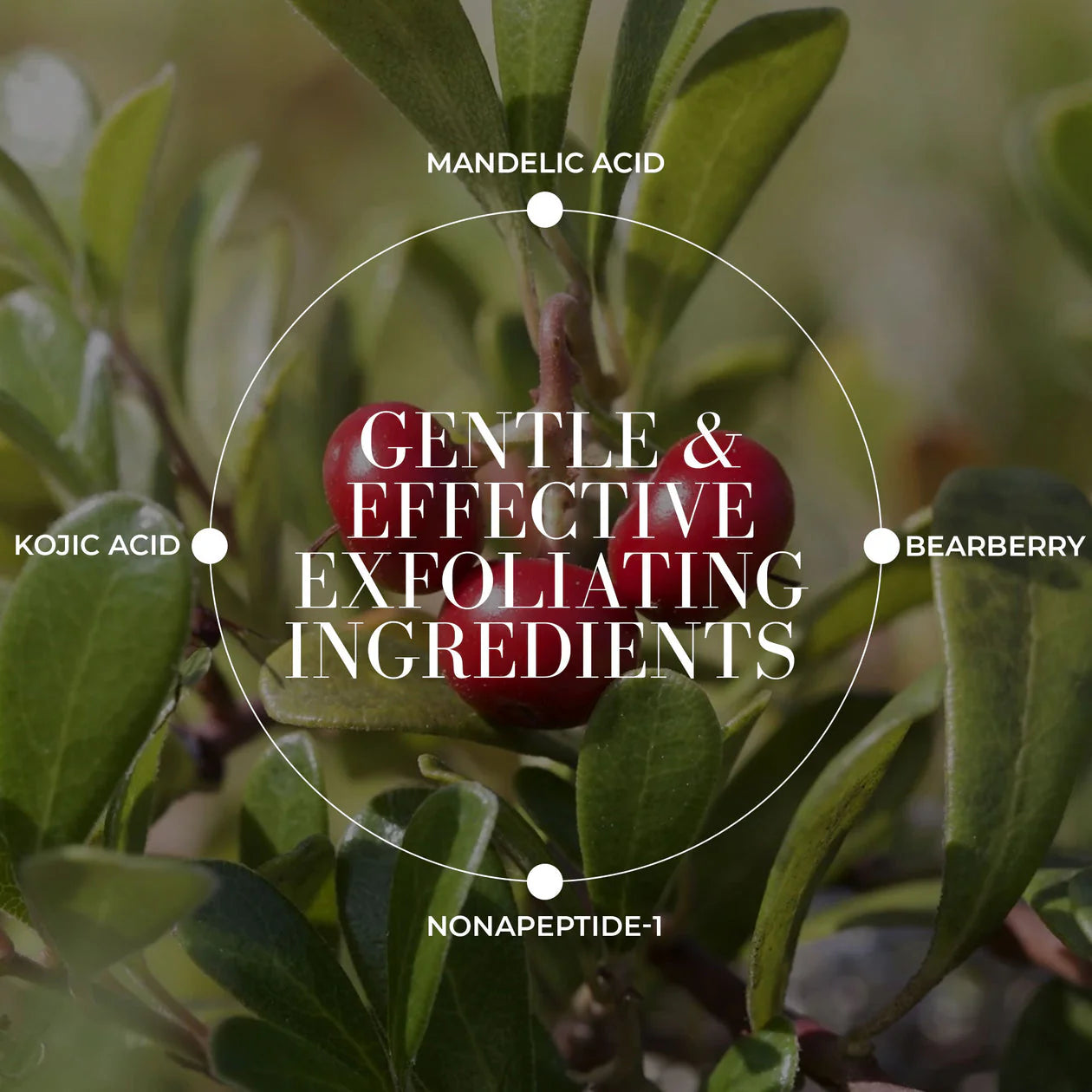 Clear + Bright Mandelic Drops