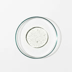 Shampoo: Damsk Rose, Black Pepper, Sage