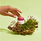 Owel Multi-Peptide Eye Cream